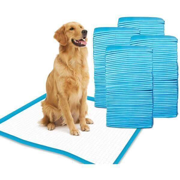 Dog training pads- 60 Pieces- Large size-Groom-Whiskers Nation