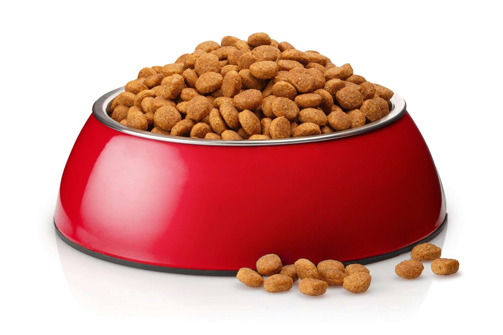 Cats dry food - Whiskers Nation