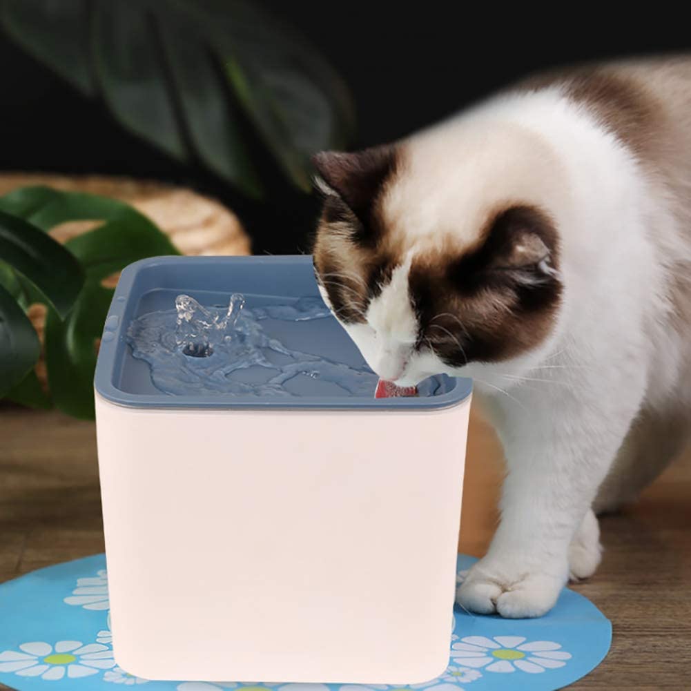 CARNO Pet Drinking Fountain 2L - Whiskers Nation