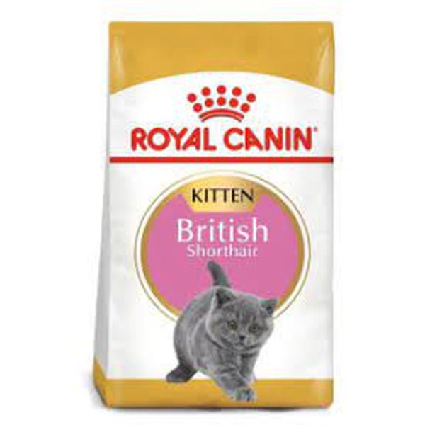 Royal Canin British short hair Kitten - Whiskers Nation