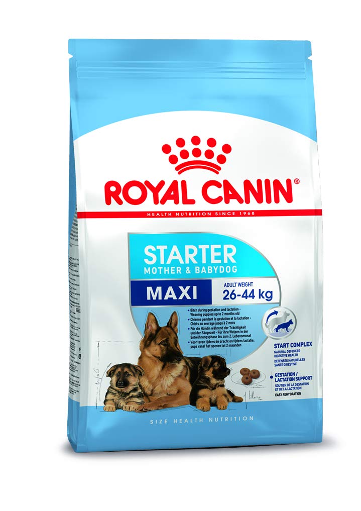 Royal Canin Maxi Starter - Whiskers Nation