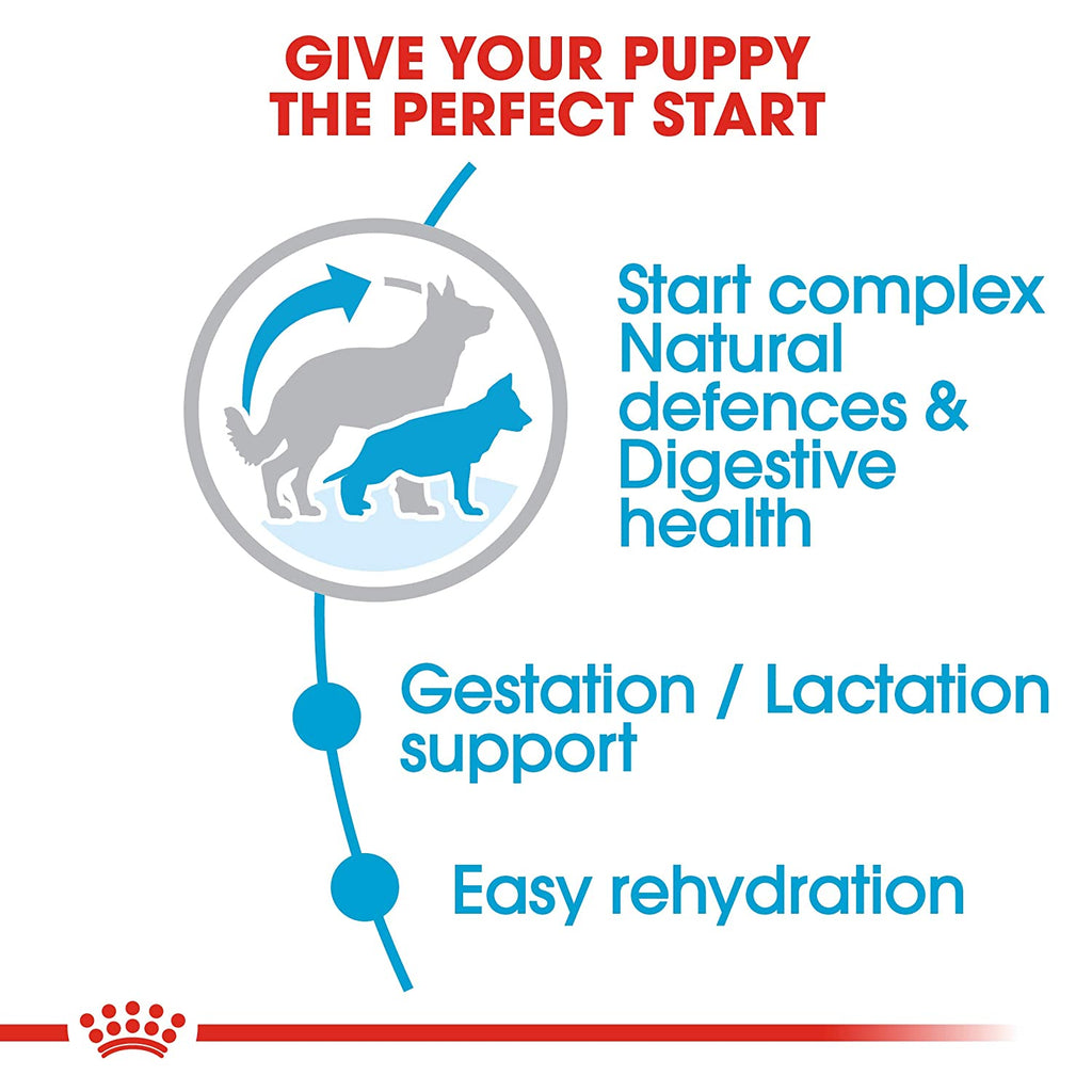 Royal Canin Maxi Starter - Whiskers Nation