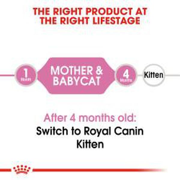 Royal Canin® Mother & Baby cat - Whiskers Nation