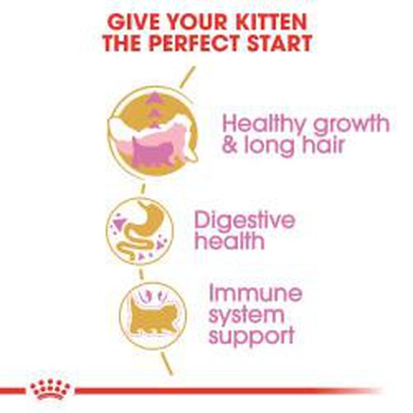 Royal Canin® Persian Kitten Dry Cat Food - Whiskers Nation