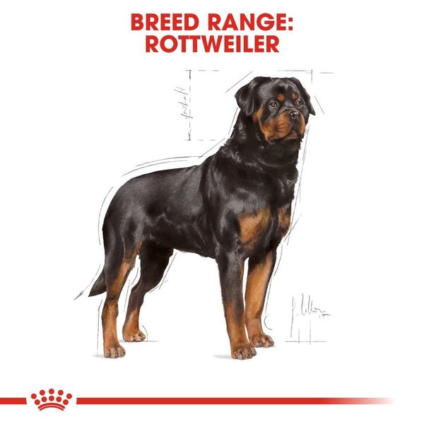 Royal Canin Rottweiler adult - Whiskers Nation