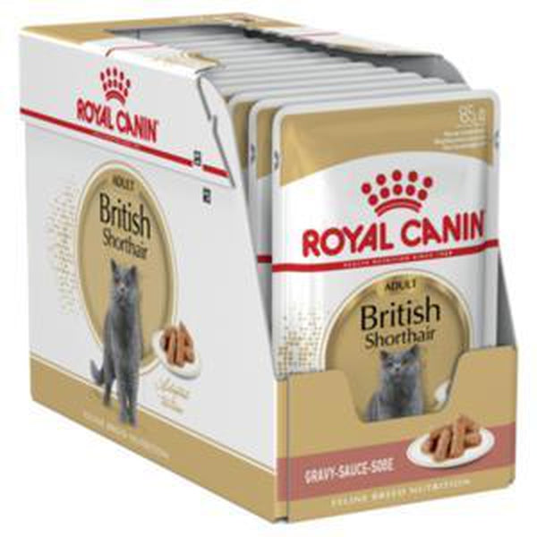 Royal Canin British short hair wet food
