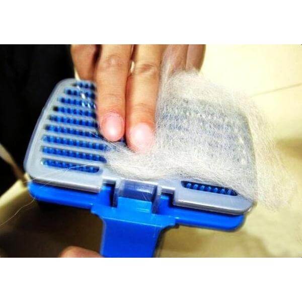 Hair removal brush-Pedi paws-Whiskers Nation
